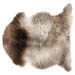 Fur Leather - 12